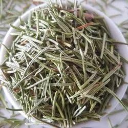 ROSEMARY Organic Herbal Tea Leaves, 8 oz. Pouch, Cut and Sifted, Loose Leaf Herbal tea, Culinary Spice (Rosemary)