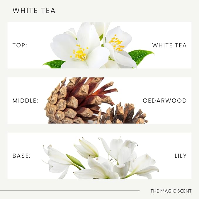 White Tea Oils for Diffuser - HVAC, Cold-Air, & Ultrasonic Diffuser Oil Inspired by The Tranquility of a Spa Resort - Essential Oils for Diffusers Aromatherapy - 8.5 fl oz, 250 mL