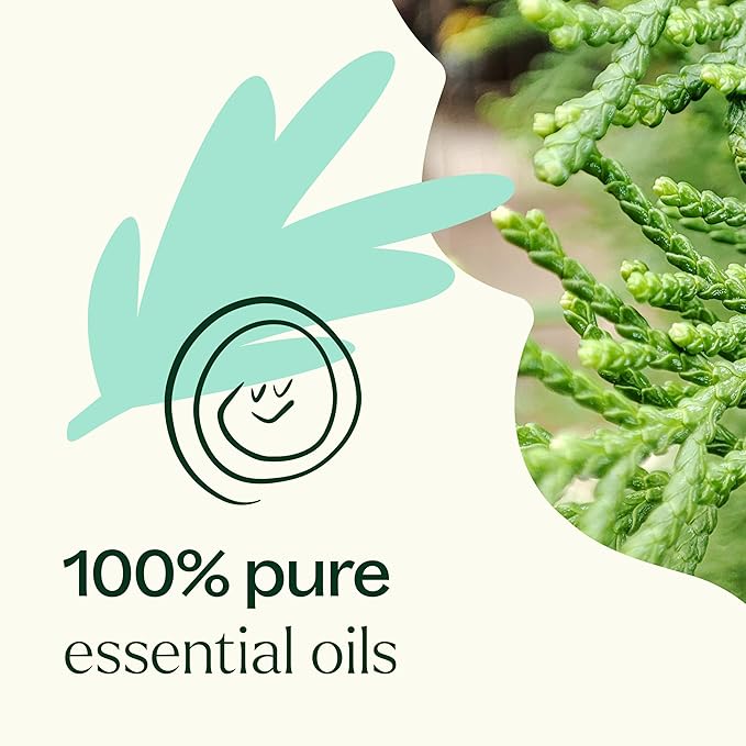 Plant Therapy KidSafe Sniffle Stopper Essential Oil Blend 10 mL (1/3 oz) Respiratory Support Blend 100% Pure, Undiluted, Natural Aromatherapy, Therapeutic Grade