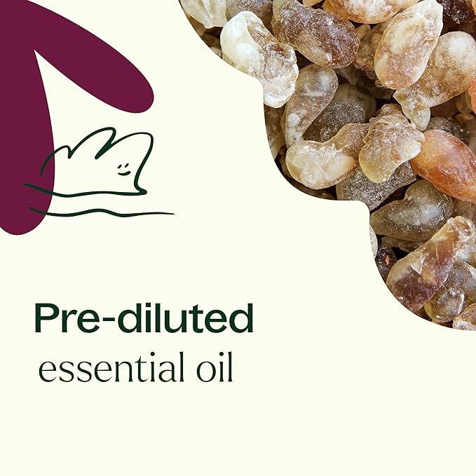 Plant Therapy Frankincense Carterii Essential Oil 100% Pure, Pre-Diluted Roll-On, Natural Aromatherapy, Therapeutic Grade 10 mL (1/3 oz)