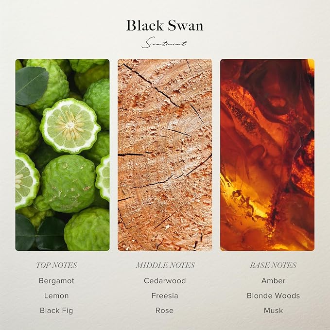Black Swan Hotel Diffuser Oil | Aromatherapy Home Fragrance | Luxurious Scent with Notes of Blonde Woods, Rose, Black Fig (120 mL)