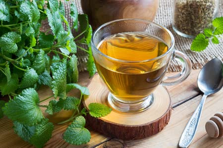 SPEARMINT Organic Herbal Tea Leaves, 8 oz. Pouch, Cut and Sifted, Loose Leaf Herbal tea (Spearmint)