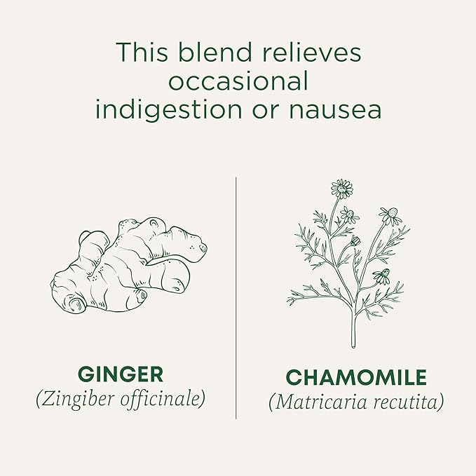 Traditional Medicinals Organic Ginger with Chamomile Herbal Tea, Relieves Occasional Indigestion or Nausea, (Pack of 6), 96 Count