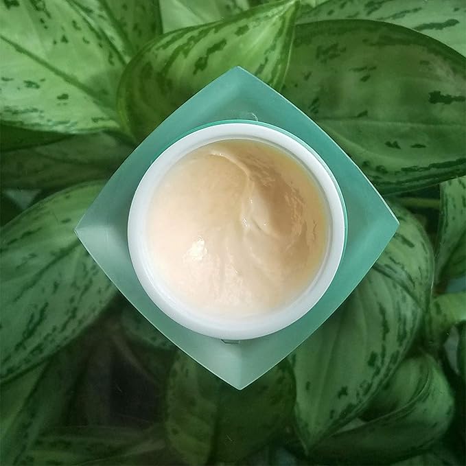 Christine Valmy Valissima Nourishing Night Cream, 1 ounce