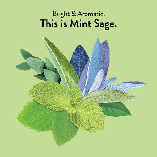 Choice Organic Mint Sage Herbal Tea, Caffeine Free, 16 Bags (Pack Of 6)