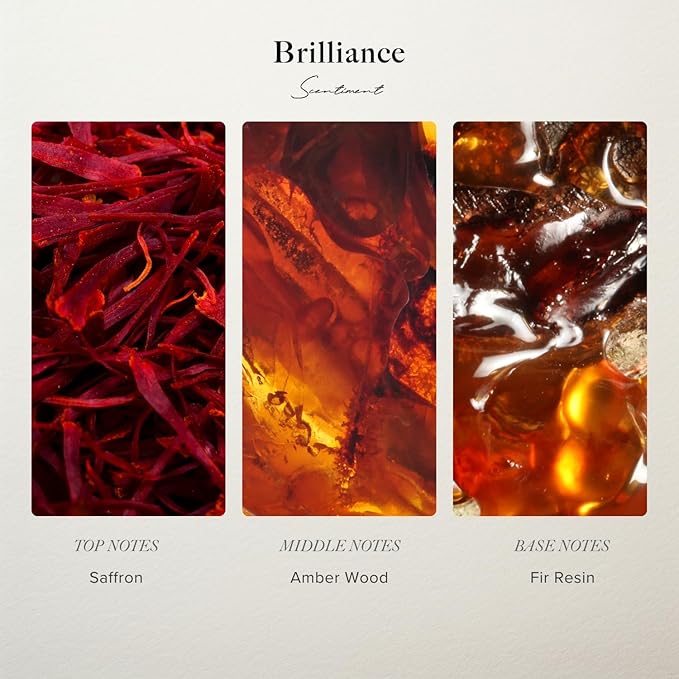Brilliance Designer Collection Diffuser Oils | Aromatherapy Home Fragrance | Luxurious Scent with Notes of Saffron, Amberwood, Fir Resin (120 mL)