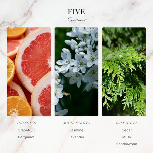Five Designer Collection Diffuser Oils | Aromatherapy Home Fragrance | Luxurious Scent with Notes of Grapefruit, Lavender, Musk (50 mL)
