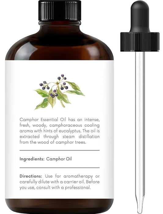 Handcraft Blends Camphor Essential Oil - Huge 4 Fl Oz - 100% Pure and Natural - Premium Grade Essential Oil for Diffuser and Aromatherapy