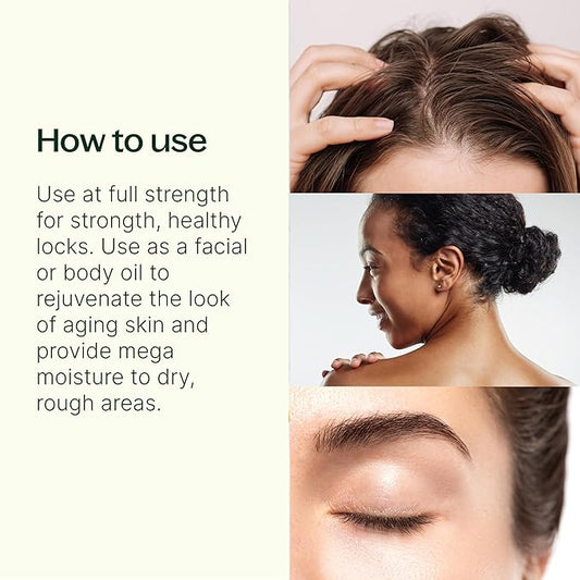 Plant Therapy Organic Argan Oil, USDA Certified, First-Press, Virgin, for Face, Hair, Skin, Nails and Cuticles 16 oz