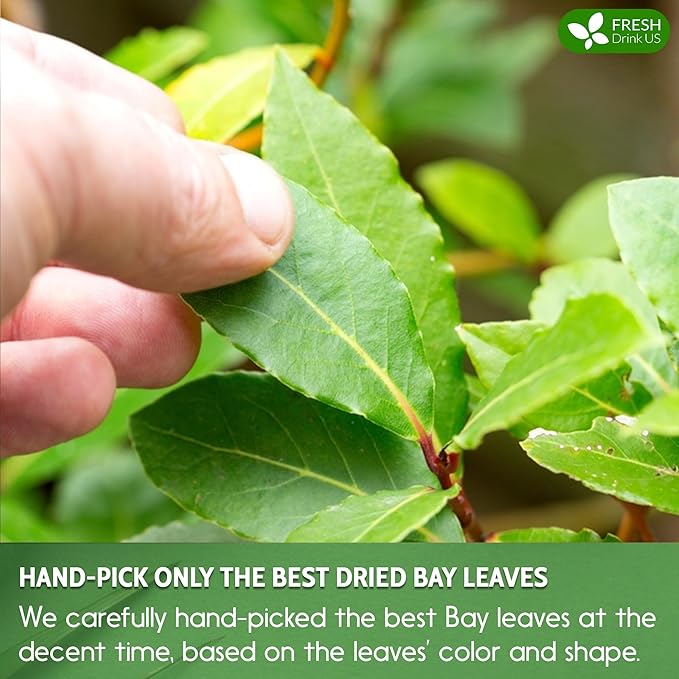 FreshDrinkUS, Premium 40 Bay Leaf Tea Bags, 100% Natural & Pure from Bay Leaves. Loose Leaf Bay Herbal Tea. Made with Natural Material Tea Bags, No Sugar, No Caffeine, No Gluten, Vegan.