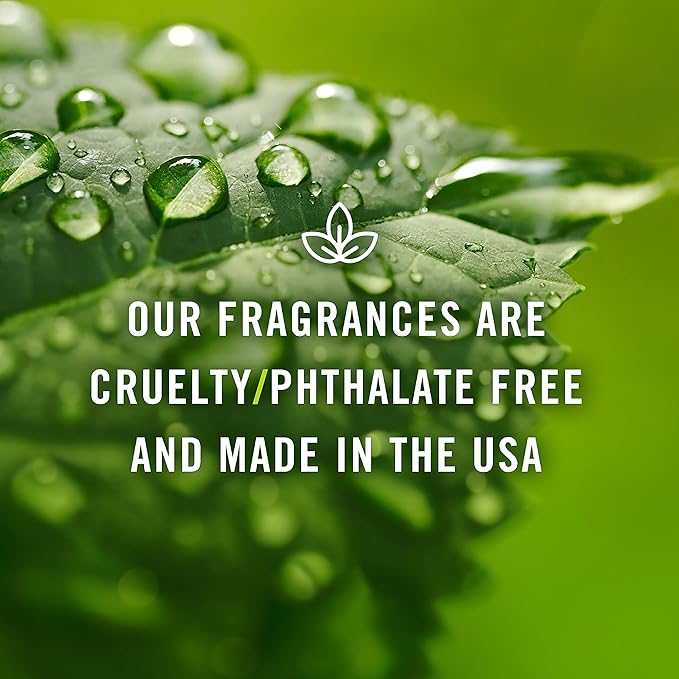 P&J Trading Spring Flowers Set of Fragrance Oil - Woodbine, Lily, Lotus Blossom, Magnolia, Peony, Primrose Scents for Candle Making, Soap Making Supplies, Diffuser Oils