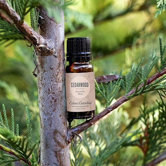 Edens Garden Cedarwood Around The World Essential Oil- 100% Pure Premium Grade, Undiluted, Natural, Therapeutic, Aromatherapy, The Best for Diffuser, Skin, Face, Hair 30 ml (1 fl oz)
